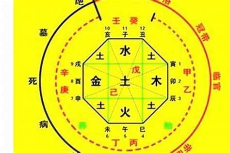 喜用神木火|八字喜用神为木火：五行旺衰与生活决策指南